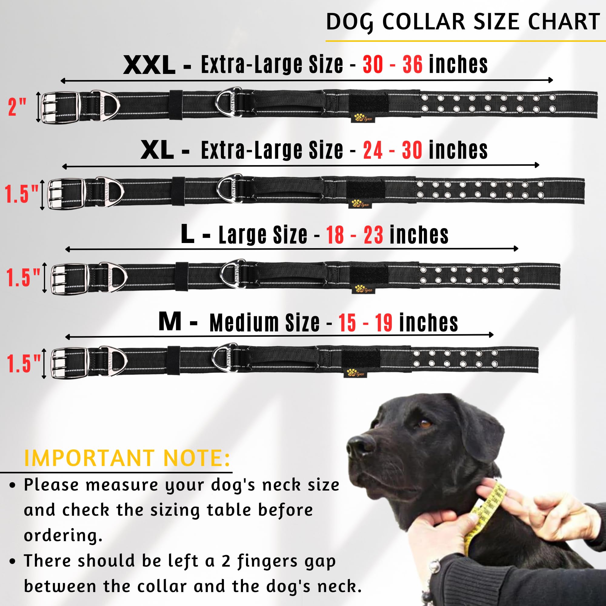 ADITYNA wide 1.5-inch collar demonstrates sturdy nylon webbing and comfort