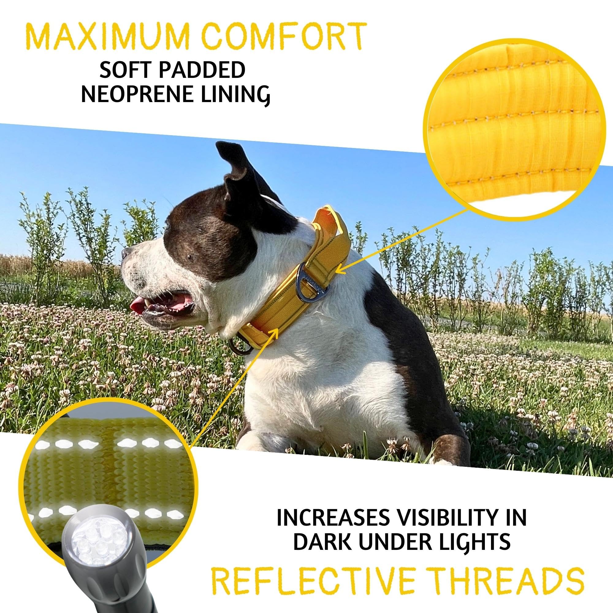 ADITYNA heavy-duty dog collar wide 1.5-inch design supports stability during activity.
