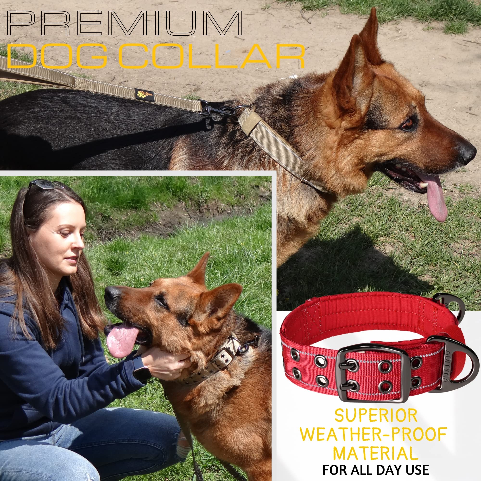 ADITYNA heavy-duty dog collar XXL D-ring close-up—reliable leash attachment.