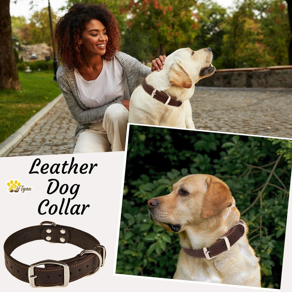 ADITYNA heavy-duty leather collar double buckle detail for secure fastening.