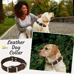 ADITYNA heavy-duty leather collar double buckle detail for secure fastening.