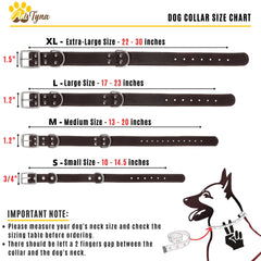ADITYNA heavy-duty leather collar on a medium dog during a walk for secure control.