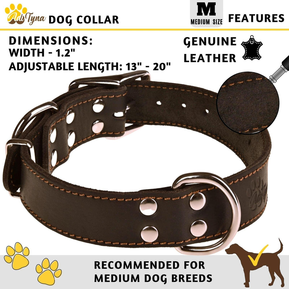 ADITYNA heavy-duty leather collar two D-rings for leashing and tags.