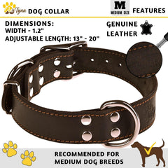 ADITYNA heavy-duty leather collar two D-rings for leashing and tags.