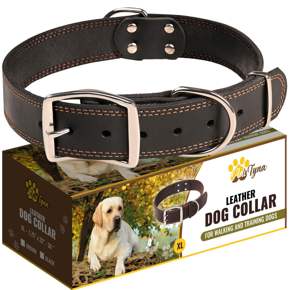 ADITYNA heavy-duty leather collar close-up shows rugged strap for XXL dogs during daily walks