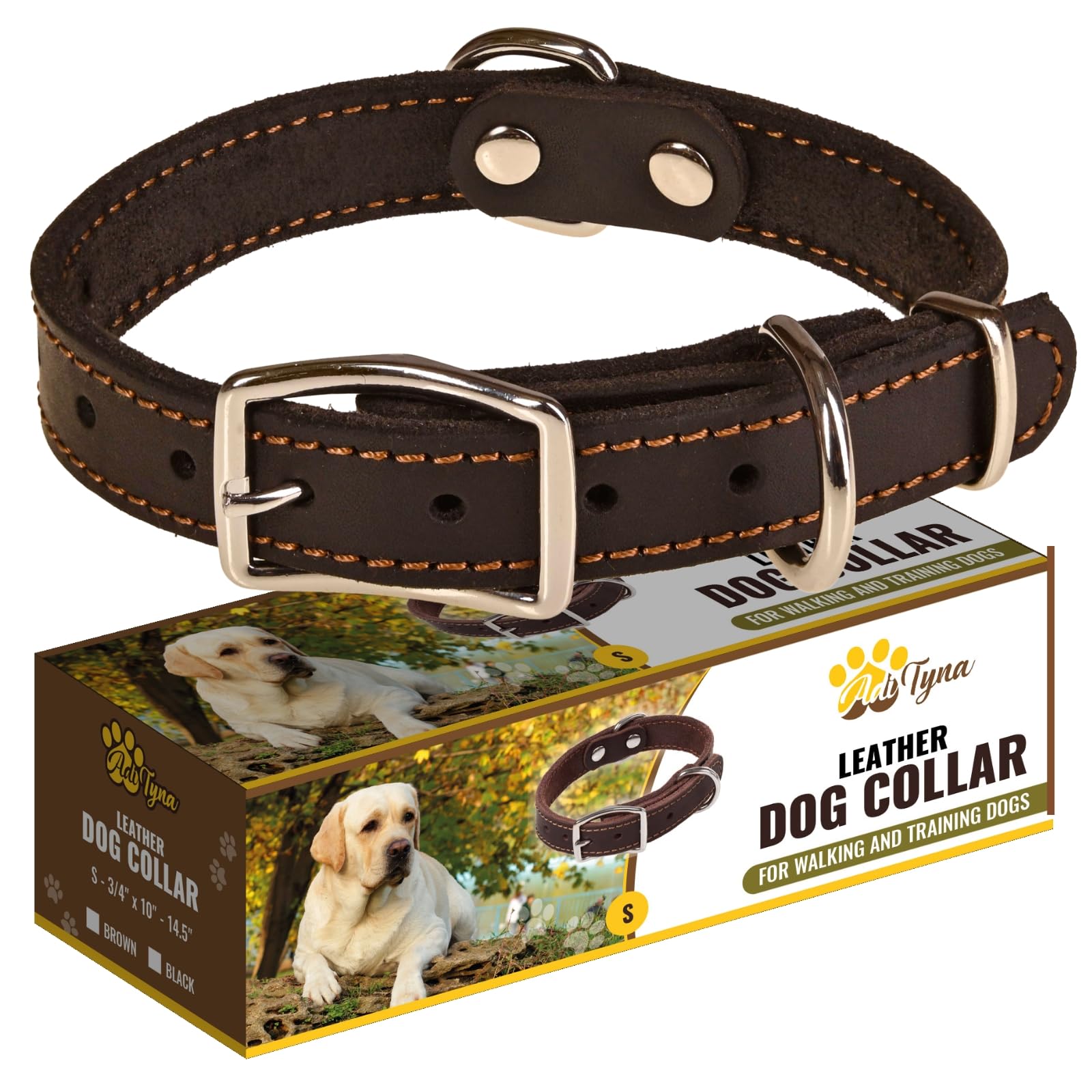 ADITYNA heavy-duty leather collar with secure closed buckle for small dogs
