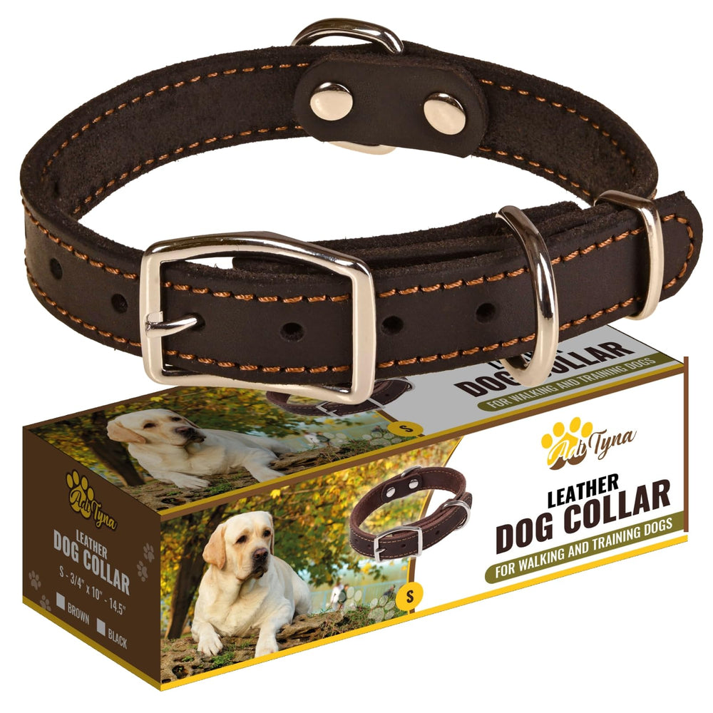 ADITYNA heavy-duty leather collar with secure closed buckle for small dogs