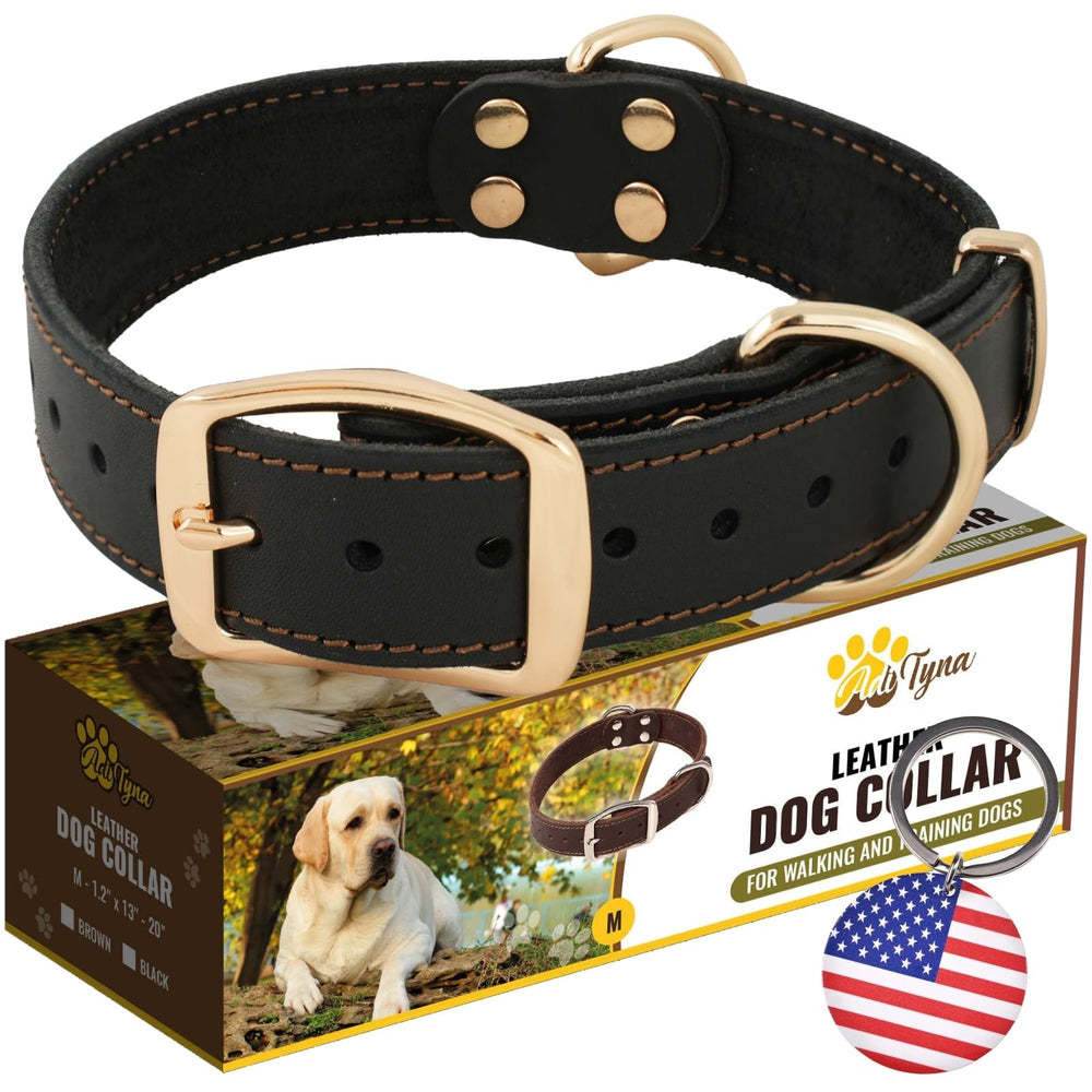 ADITYNA heavy-duty leather dog collar closeup texture for durable daily walks