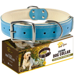 ADITYNA heavy-duty leather dog collar close-up showing durable craftsmanship for long-lasting walks.