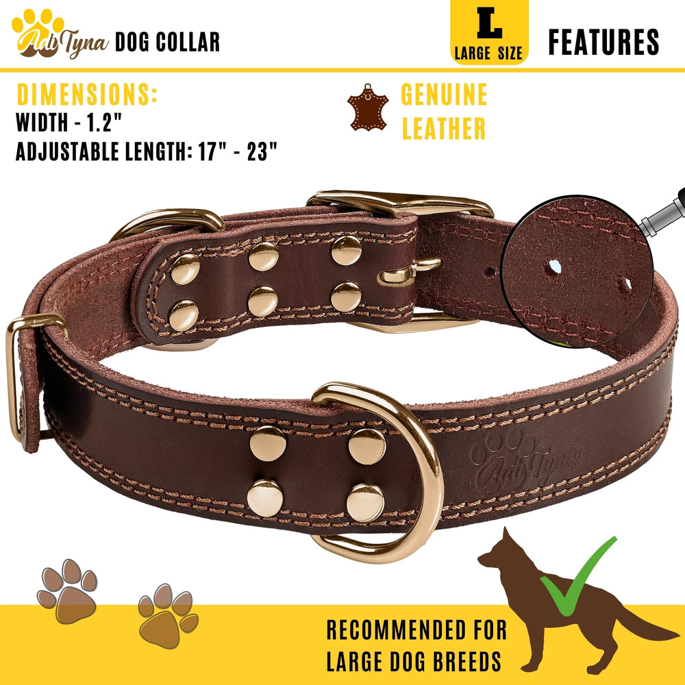 ADITYNA heavy-duty collar double d-rings closeup highlights secure attachment and versatility
