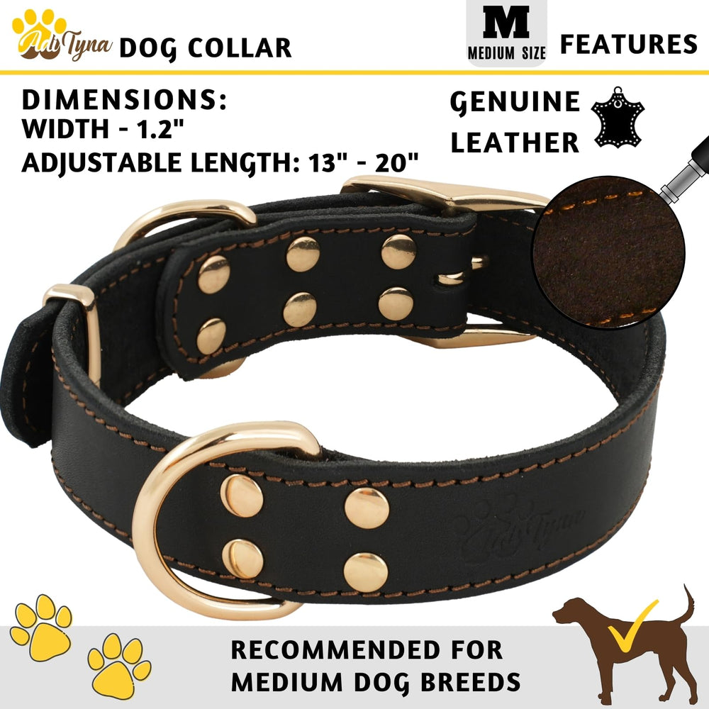 ADITYNA heavy-duty leather dog collar dual D-rings for training and control