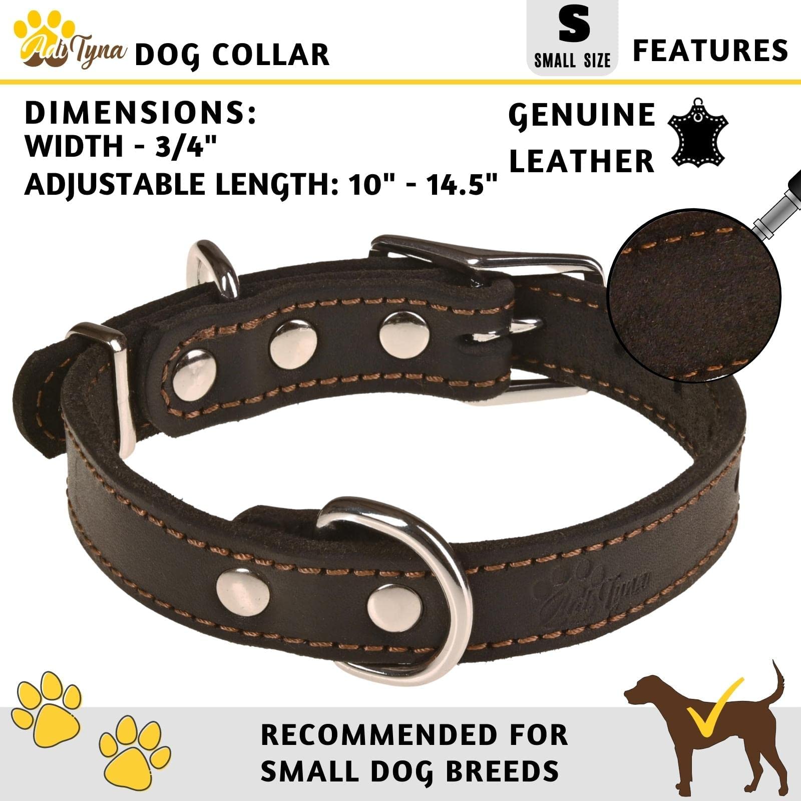 ADITYNA collar with two D-rings enables secure leash options
