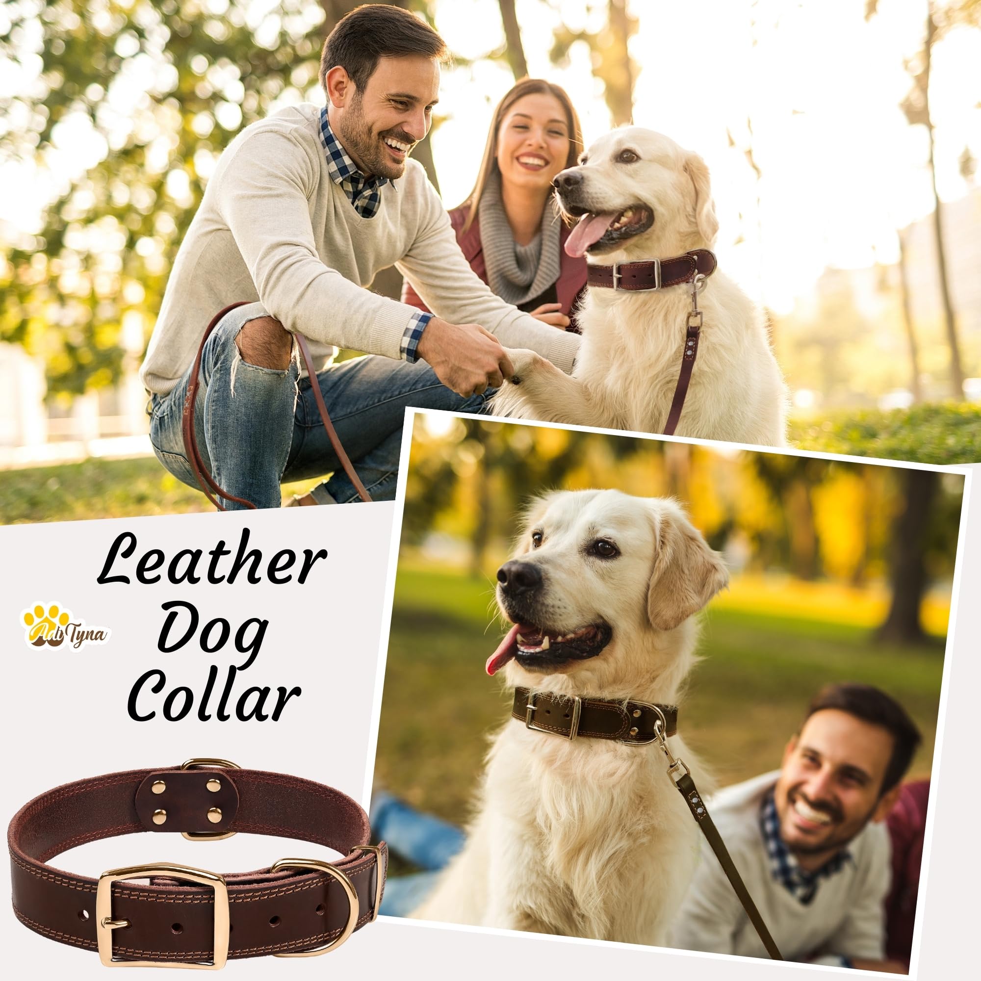 ADITYNA collar on large dog during outdoor walk, showcasing comfort and control