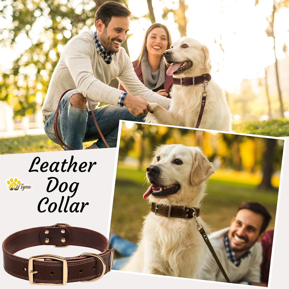 ADITYNA collar on large dog during outdoor walk, showcasing comfort and control