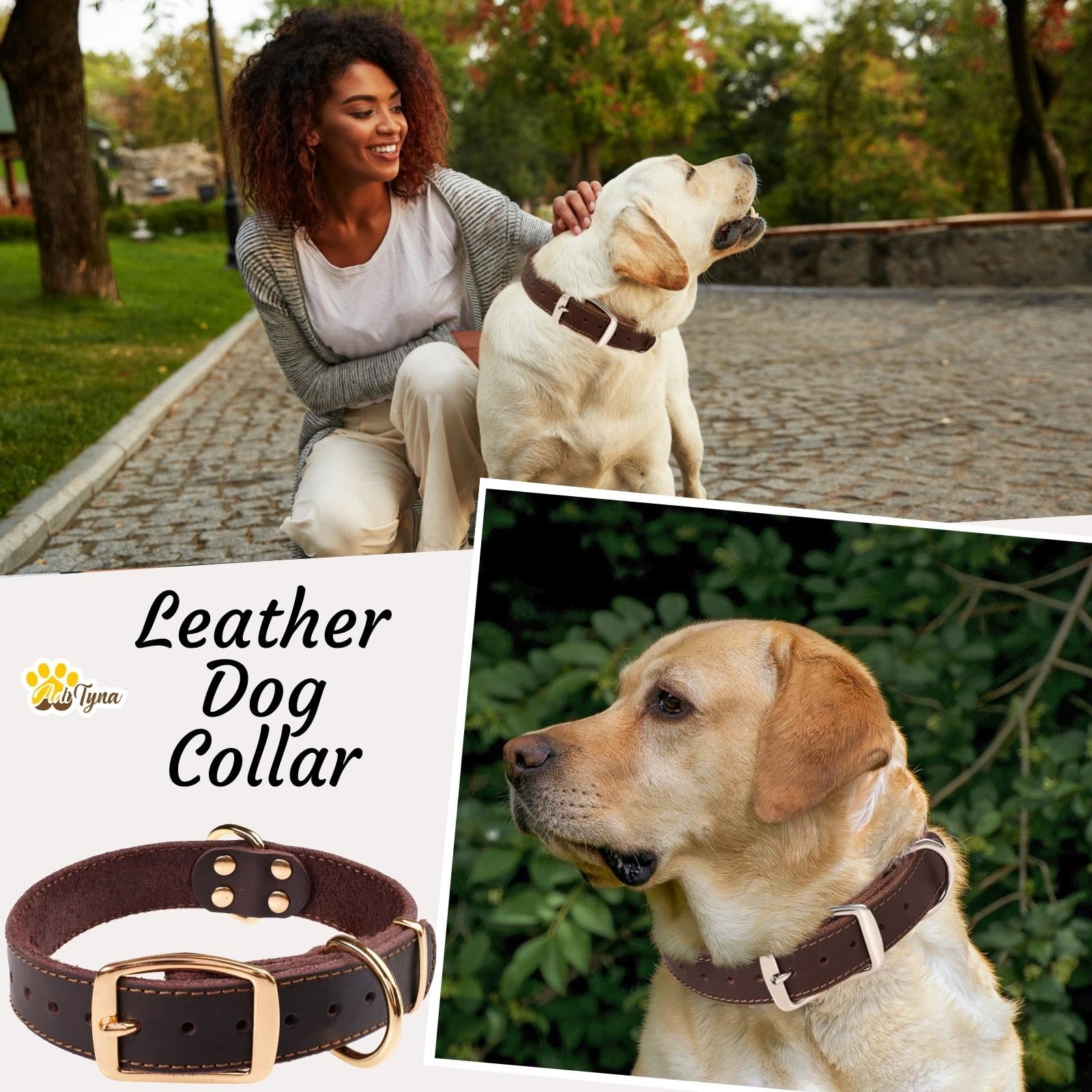 ADITYNA double-buckle two D rings design for added security during walks