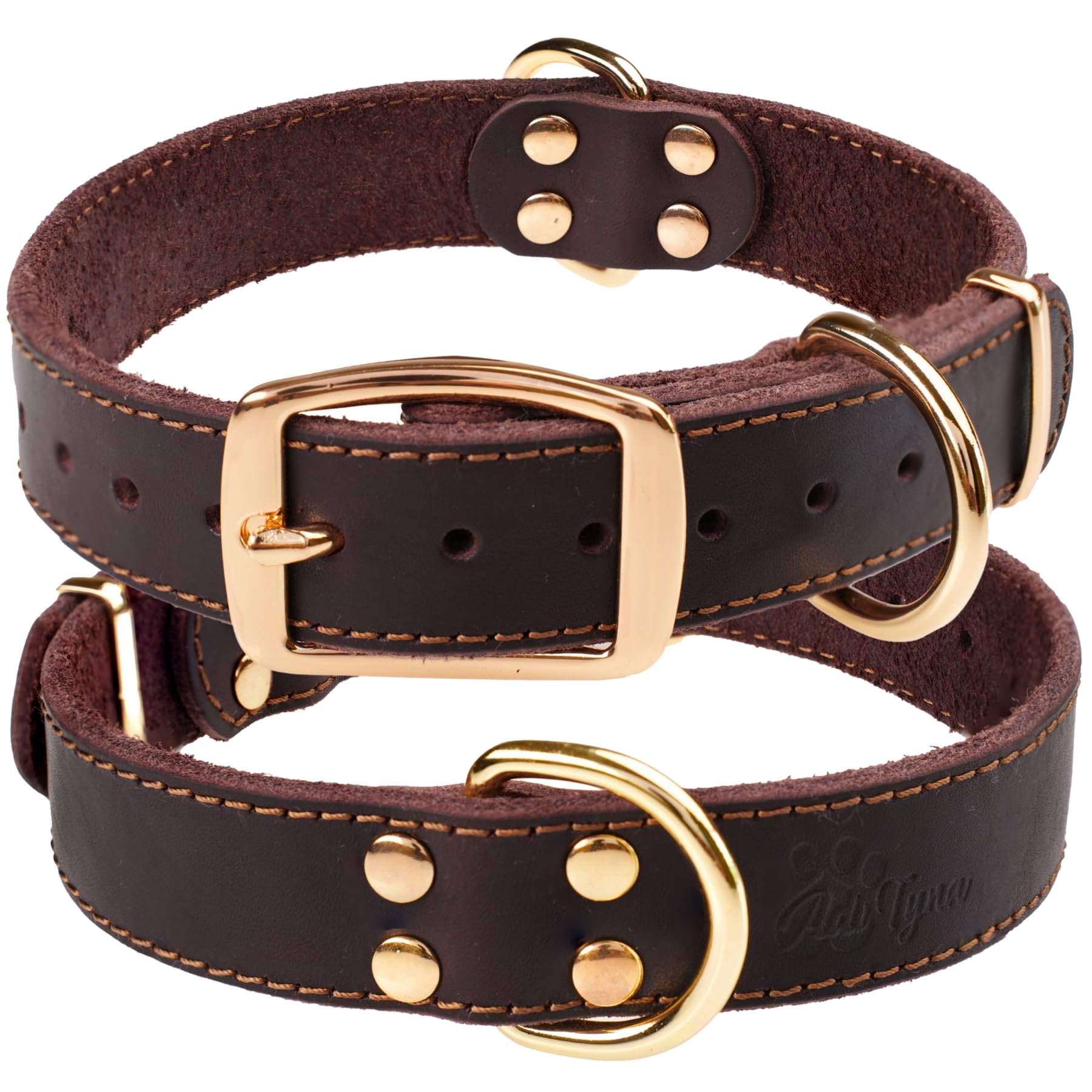ADITYNA leather collar in gift box suggests premium gift option