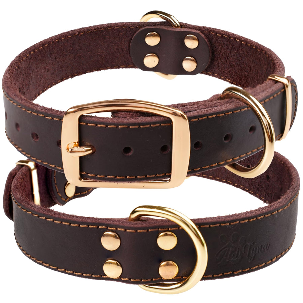 ADITYNA leather collar in gift box suggests premium gift option