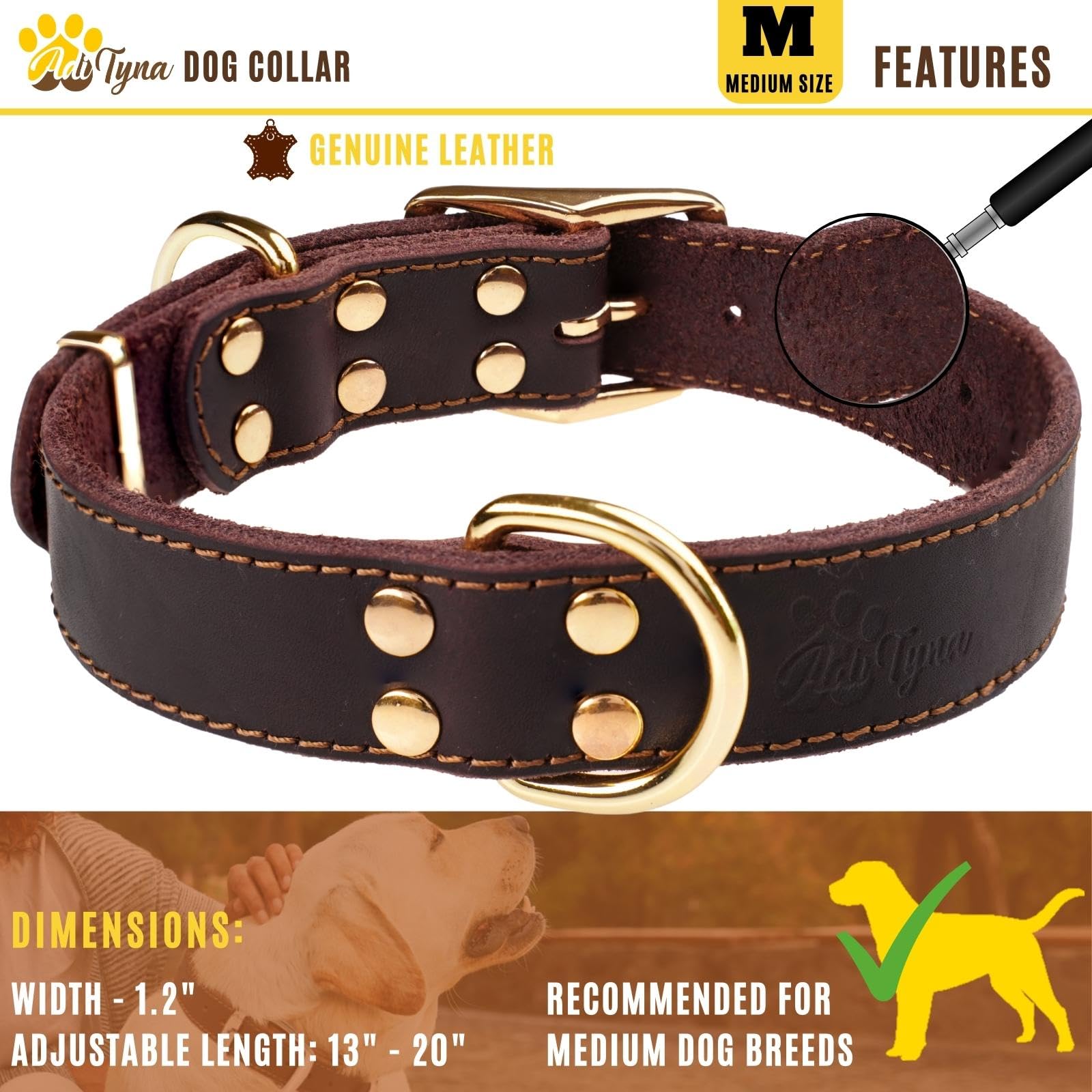 ADITYNA leather collar during a walk demonstrates stylish design and reliable control