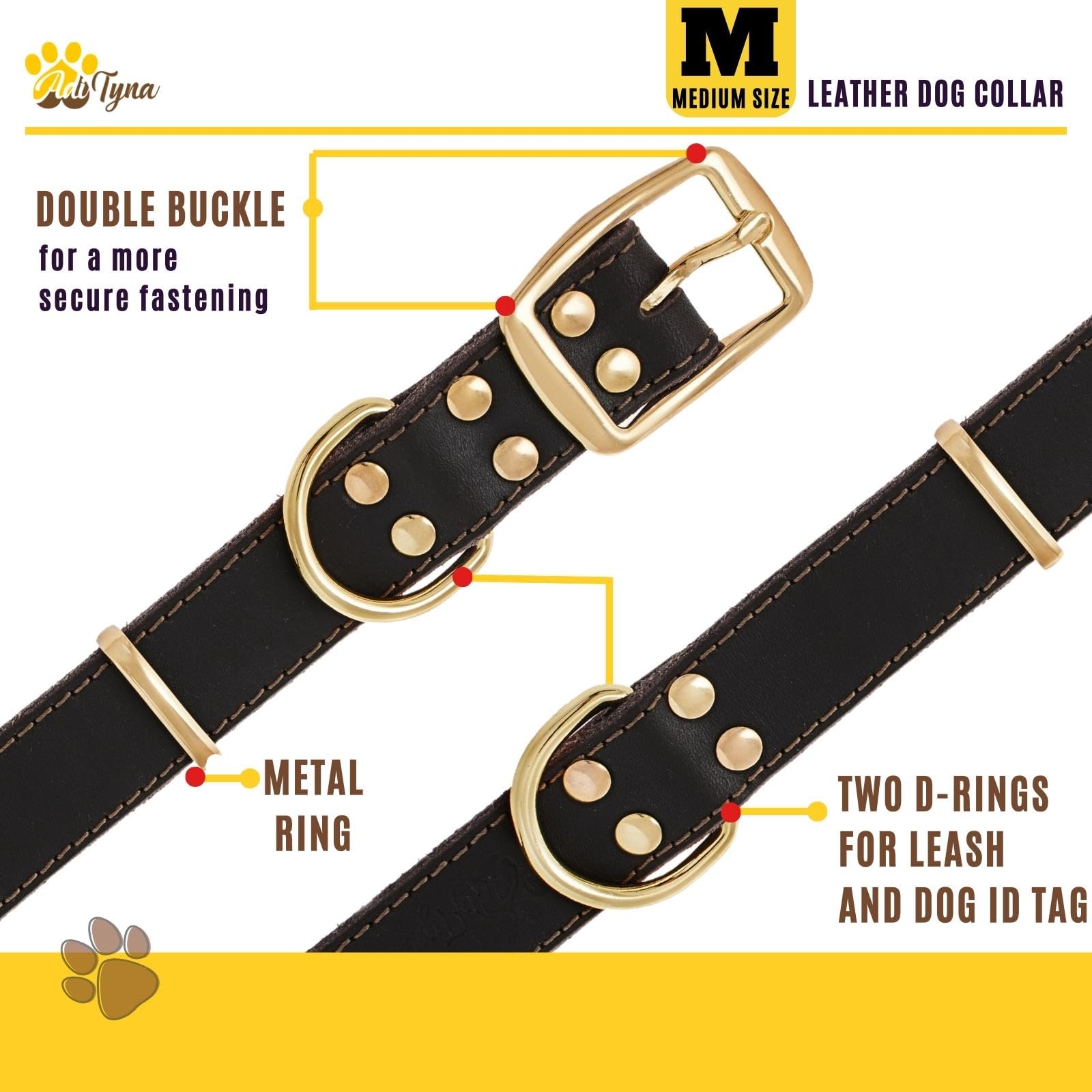 ADITYNA medium leather collar worn on dog's neck shows comfortable secure fit