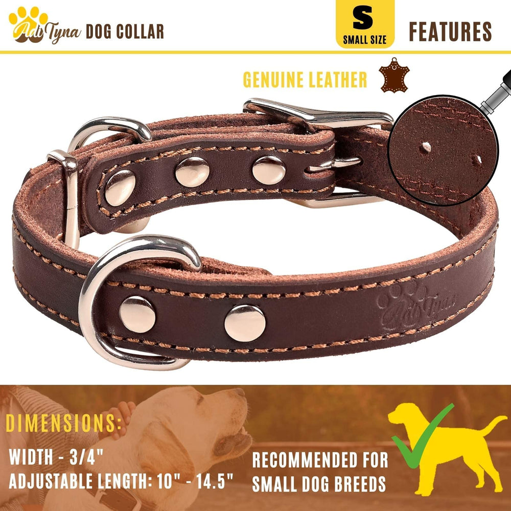 ADITYNA model wearing the small dog collar during an outdoor walk.