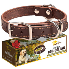 ADITYNA heavy-duty leather dog collar packaging shows premium presentation for small dogs.