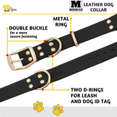 ADITYNA heavy-duty leather dog collar on a walk demonstrating sturdy daily-use