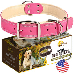 ADITYNA heavy-duty pink leather dog collar closeup showing premium leather with soft padding for comfort