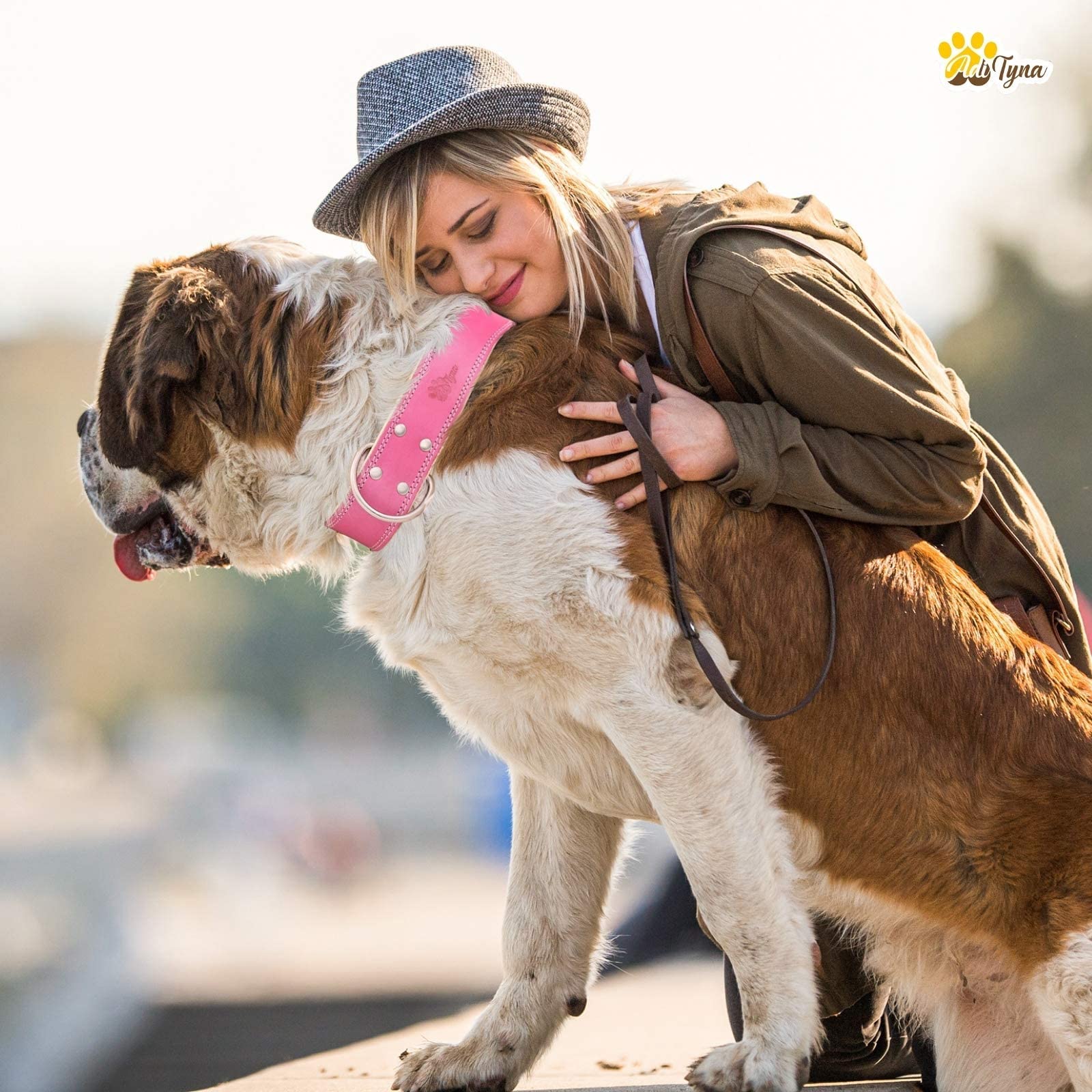 ADITYNA heavy-duty pink leather dog collar double D-rings enable leash options and training versatility