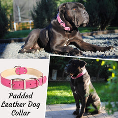 ADITYNA heavy-duty pink leather dog collar padded interior delivers gentle contact for sensitive skin
