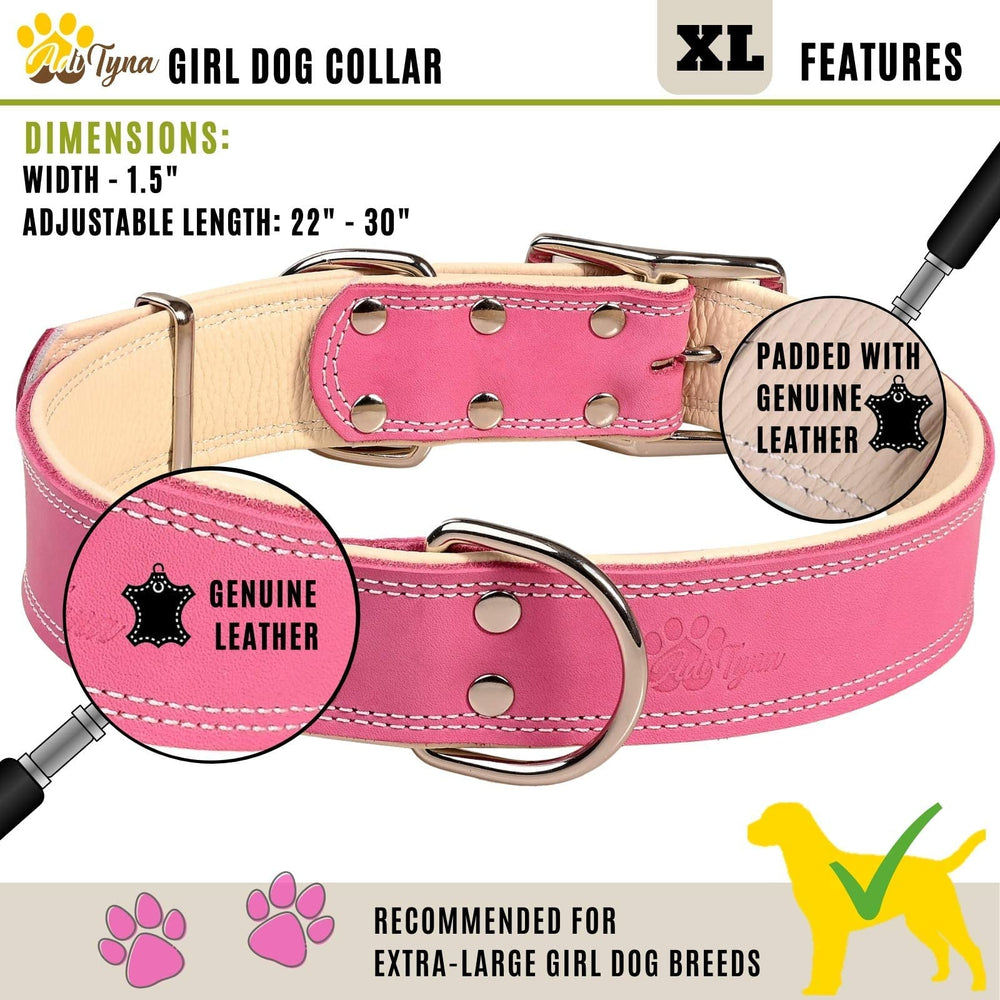 ADITYNA heavy-duty pink leather dog collar worn on a big dog during walks shows sturdy fit