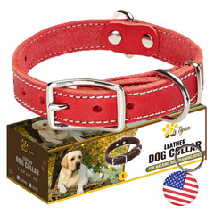 ADITYNA heavy-duty red leather dog collar close-up demonstrates secure fit