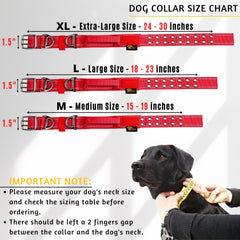 ADITYNA large dog-collar with handle for controlled training sessions.