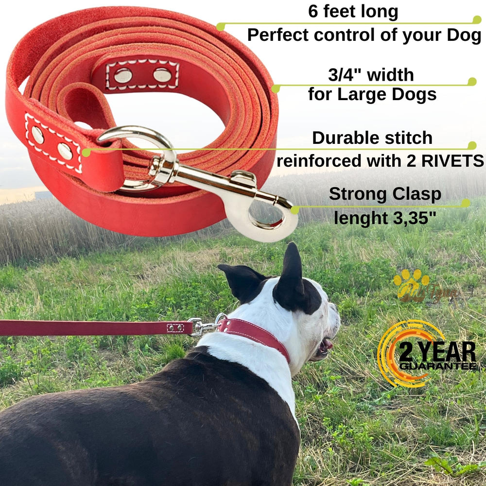 ADITYNA leash 360deg stainless clasp enhances security during strenuous pulls.