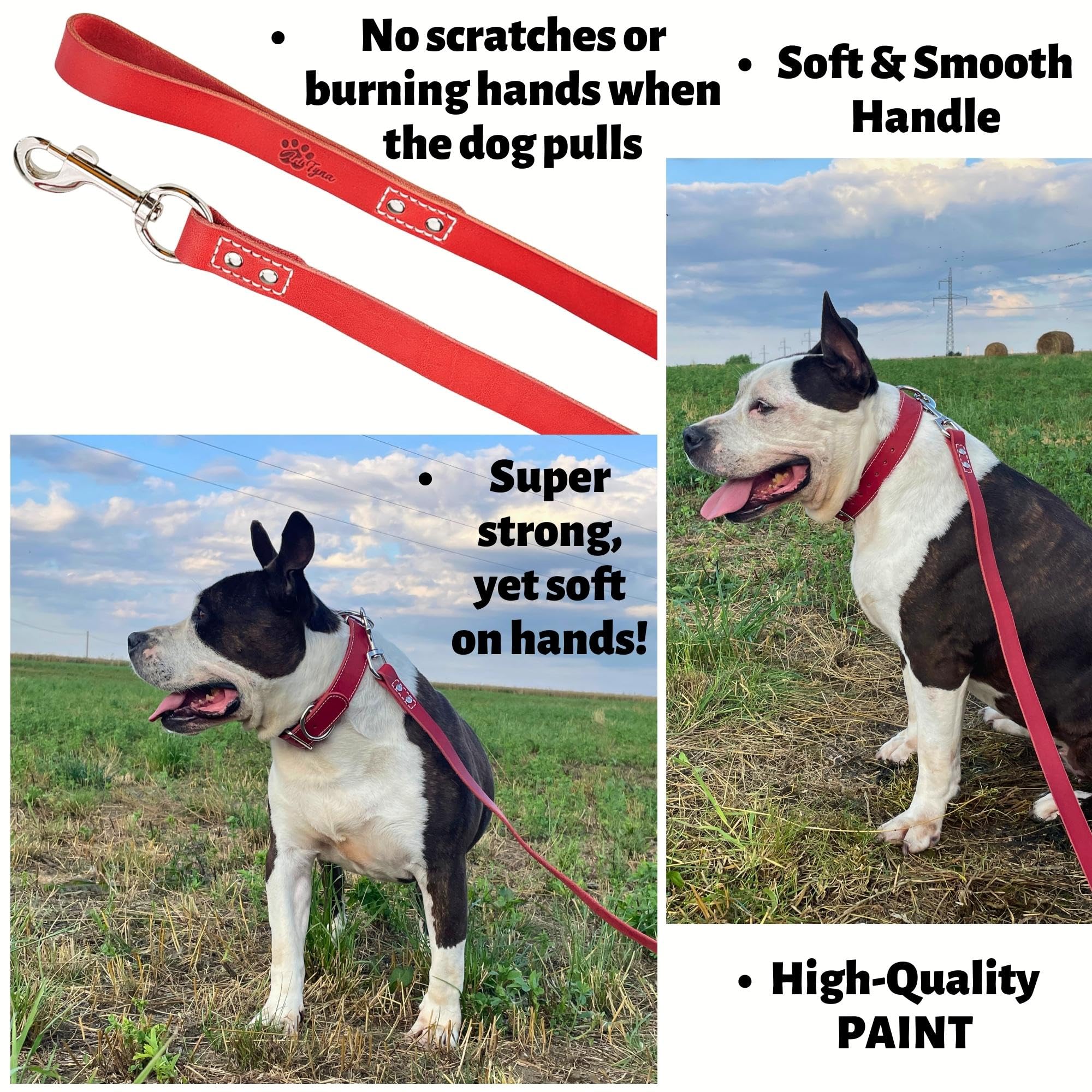 ADITYNA soft-handle leather leash offers gentle grip during long training sessions.