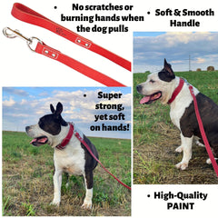 ADITYNA soft-handle leather leash offers gentle grip during long training sessions.