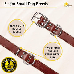 ADITYNA leather collar with dual D-rings, rugged yet refined detail.