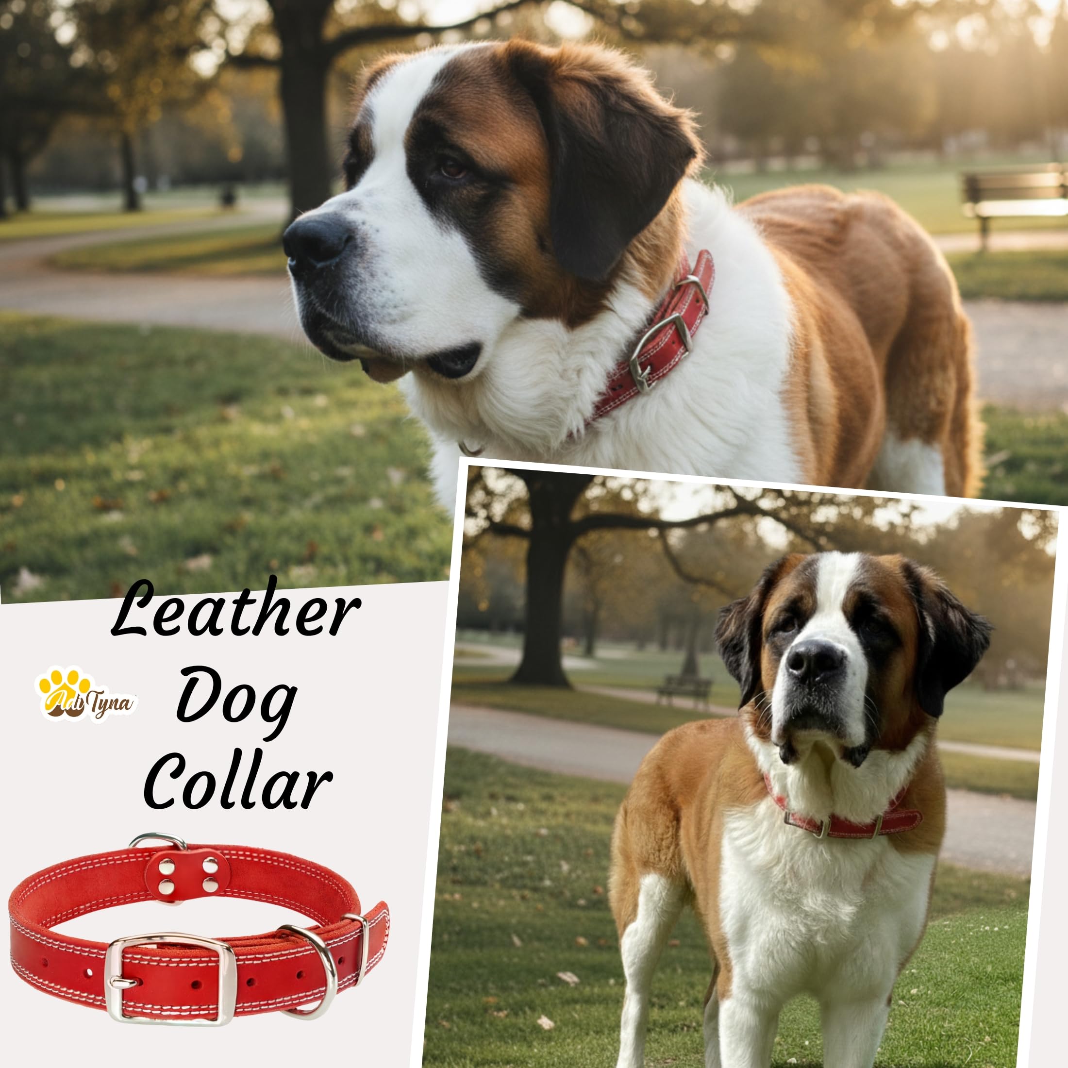 ADITYNA leather collar double buckle highlights secure, reliable daily walking.