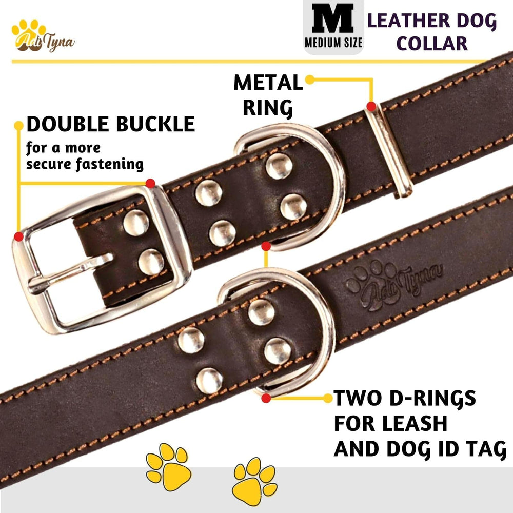 ADITYNA leather collar in gift box presentation for gifting.