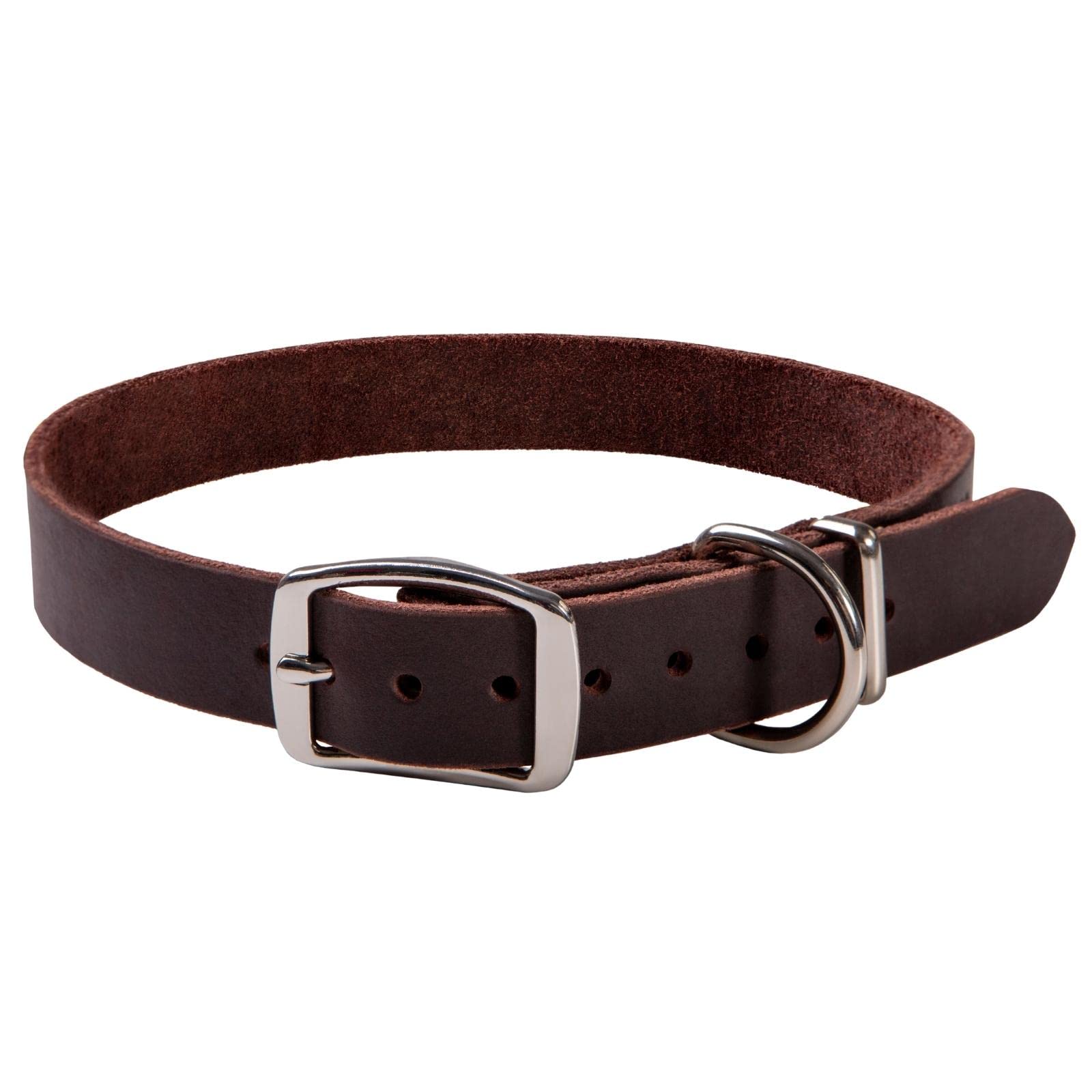 ADITYNA leather collar packaging gift idea for big-dog owners.
