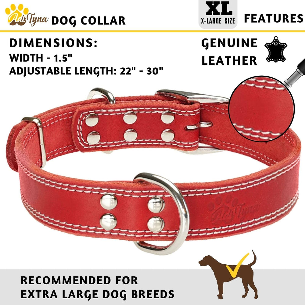 ADITYNA leather collar two D-rings facilitates leash options and added attachment versatility.