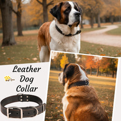 ADITYNA leather collar with two D-rings offers versatile leash attachments for control