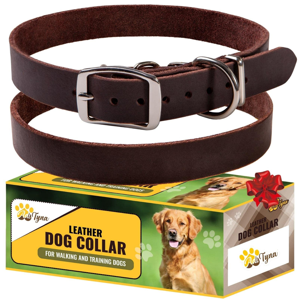 ADITYNA leather dog collar on a small dog in a classic soft design for daily walks.