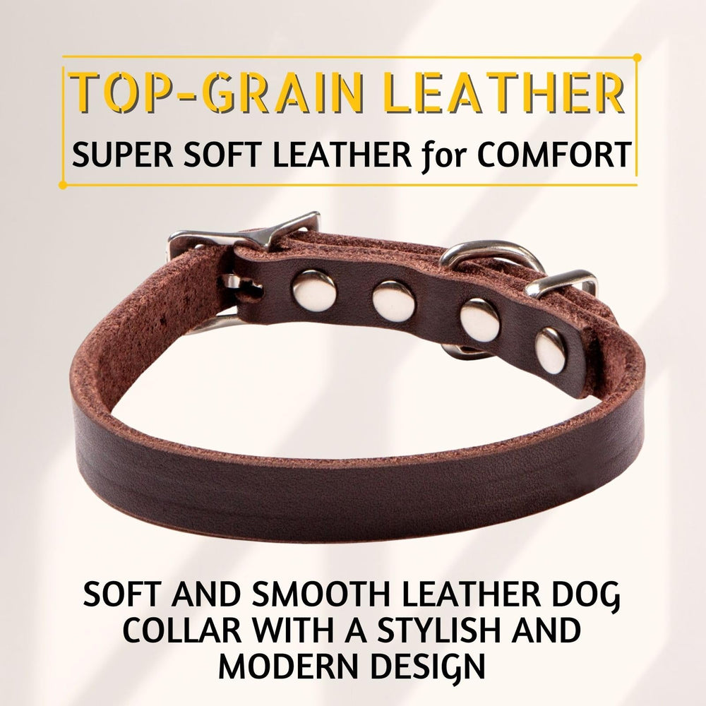 ADITYNA double-buckle D-ring collar enhances security for small breeds during training.
