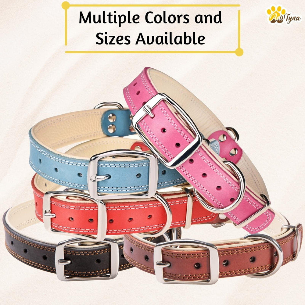 ADITYNA luxury leather dog collar features sleek design and soft padding for stylish wear.