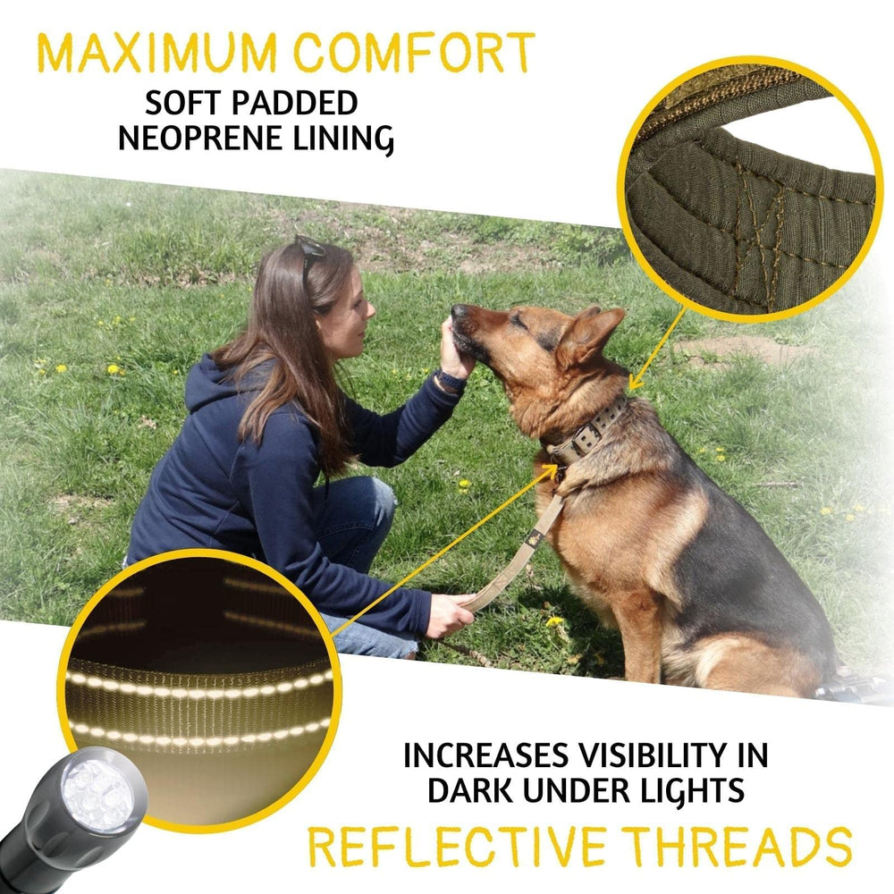 ADITYNA neoprene-padded collar delivers comfortable wear during long walks.