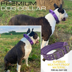 ADITYNA neoprene-padded collar offers soft comfort and reduced chafing
