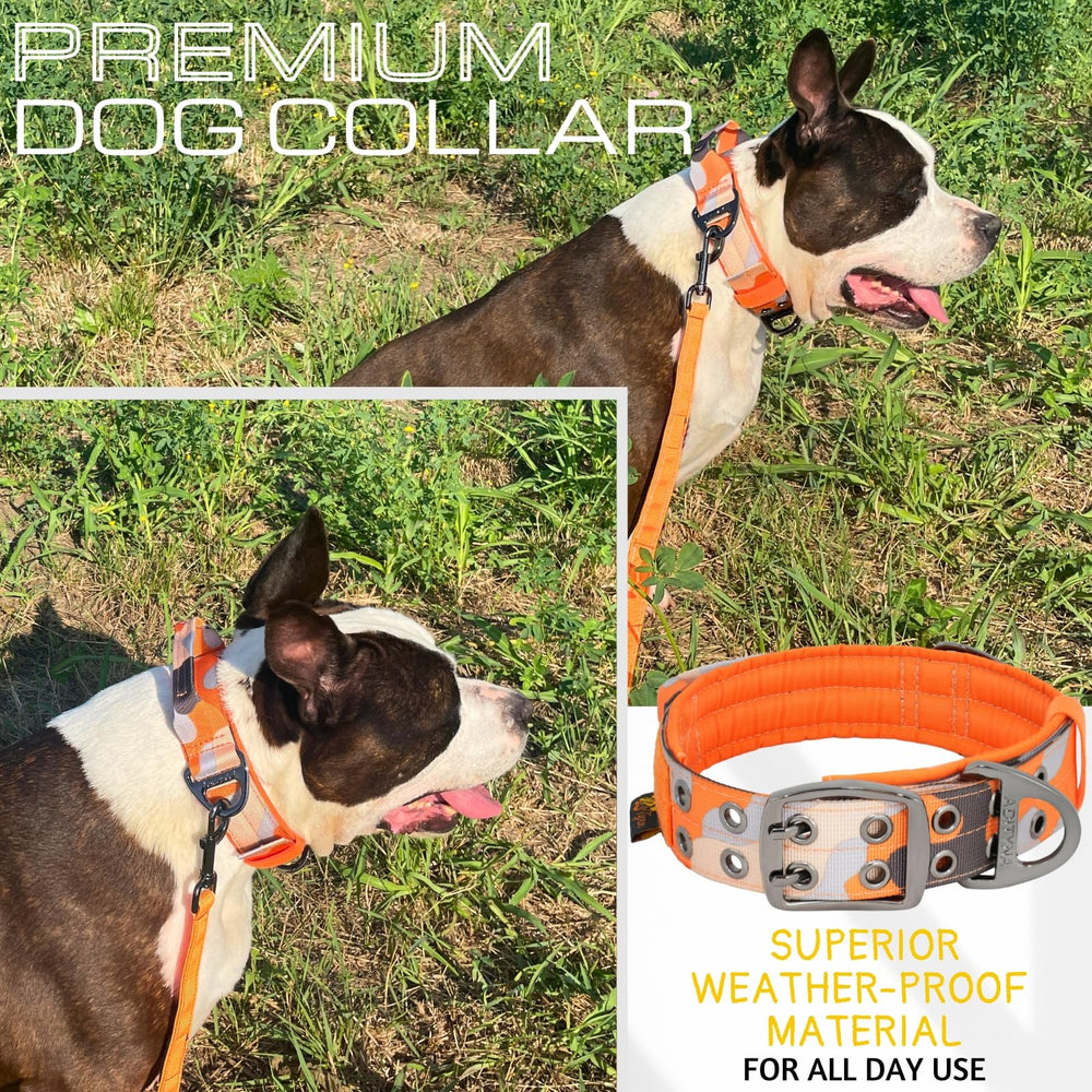 ADITYNA neoprene-padded collar provides comfortable cushioning during long walks.