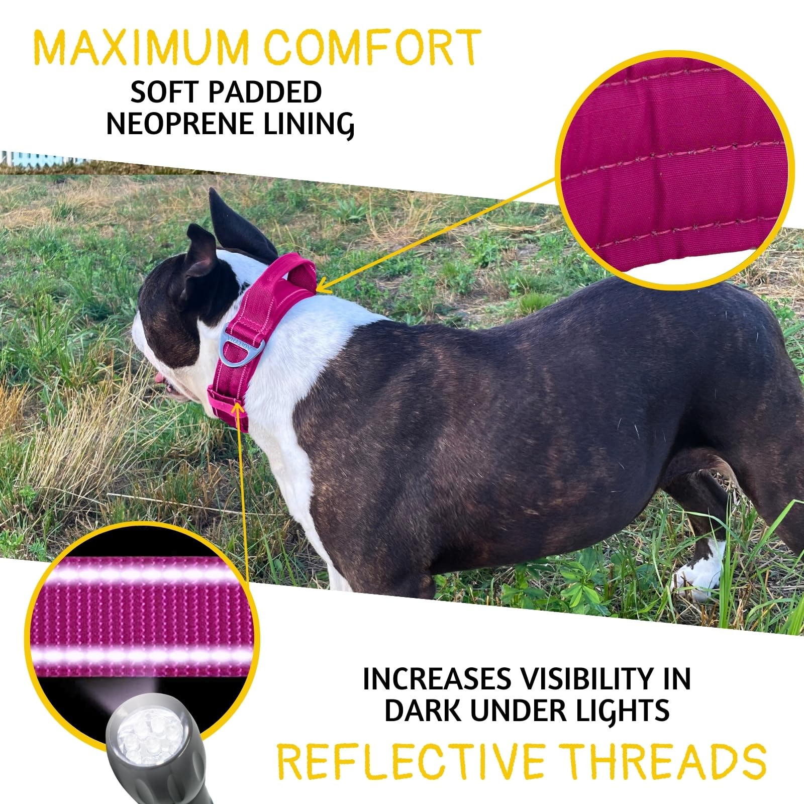 ADITYNA neoprene-padding-comfort collar minimizes chafing for dogs during extended wear