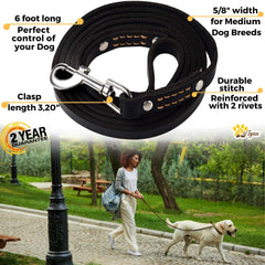 ADITYNA premium leather dog leash 6ft clasp-360-degree for secure, smooth control.