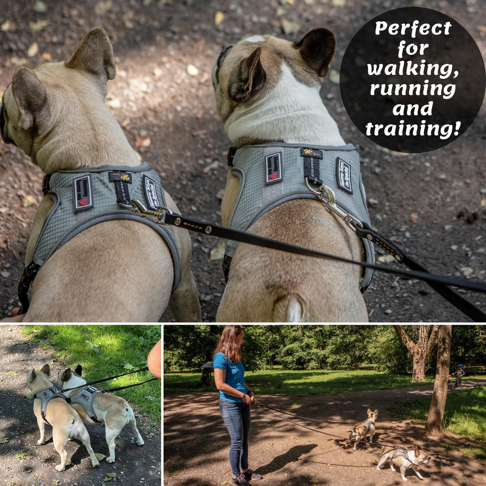 ADITYNA premium leather dog leash weather-treated leather resists light rain and moisture.